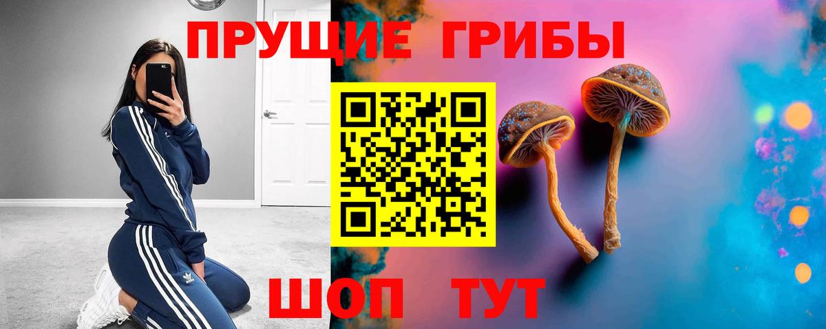 Галлюциногенные грибы Psilocybine cubensis Полевской
